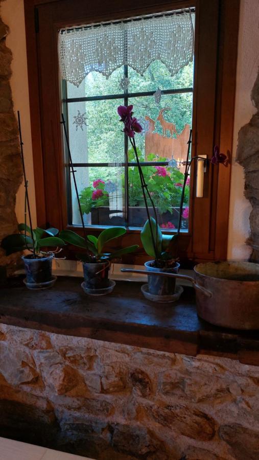 Beb Luca76 Bed and Breakfast Avise Buitenkant foto