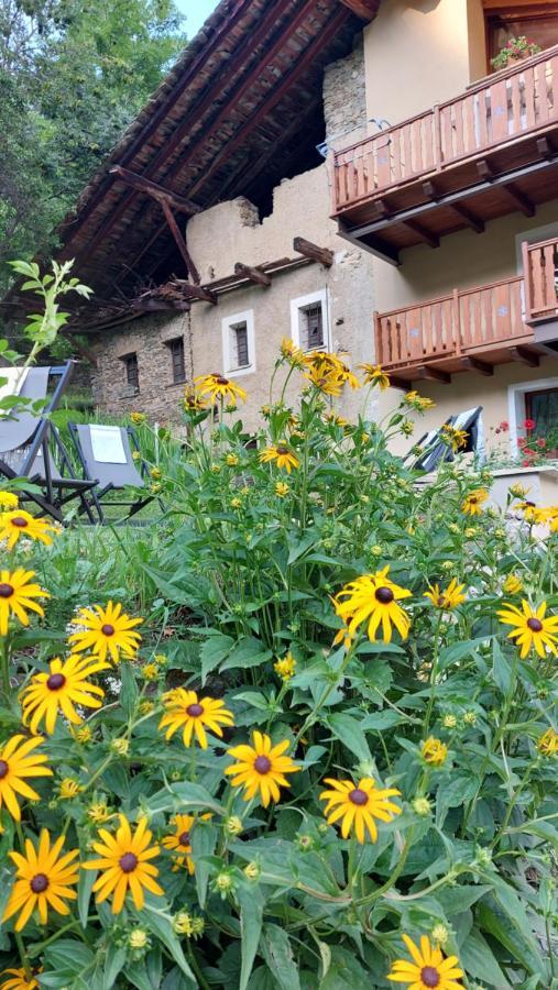 Beb Luca76 Bed and Breakfast Avise Buitenkant foto